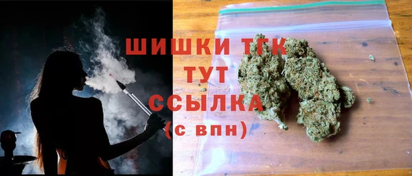 сатива Белокуриха