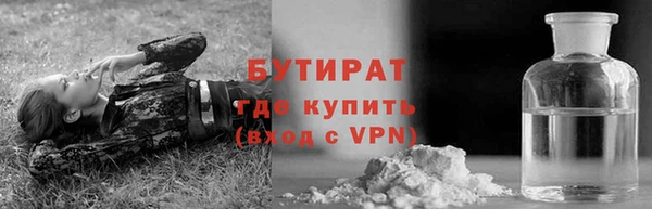 сатива Белокуриха