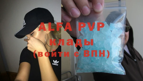 сатива Белокуриха