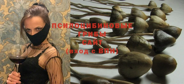 сатива Белокуриха